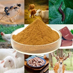 عصاره حیوانی