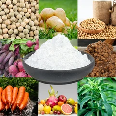 افزودنی مواد غذایی